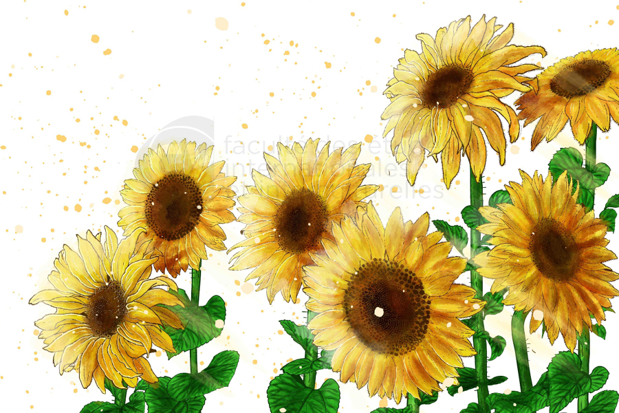 Des étudiants de FE2I co-créent un manga sur Vincent Van Gogh