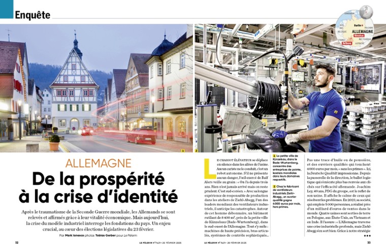 Article -  
