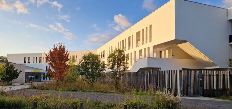 Institute's new programme: Thematic Months